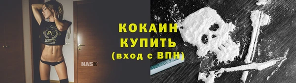 индика Белокуриха