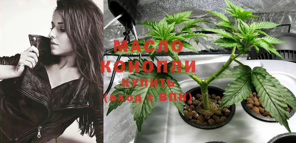 индика Белокуриха