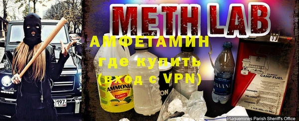 индика Белокуриха