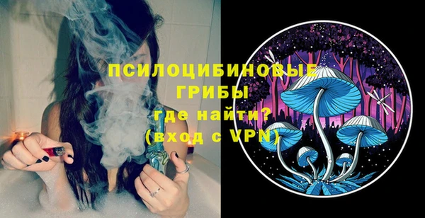 индика Белокуриха