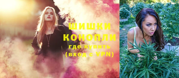 индика Белокуриха