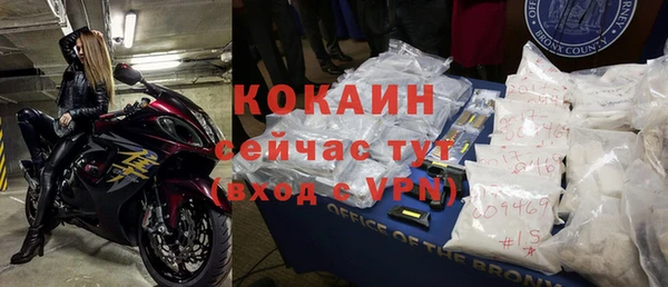 индика Белокуриха