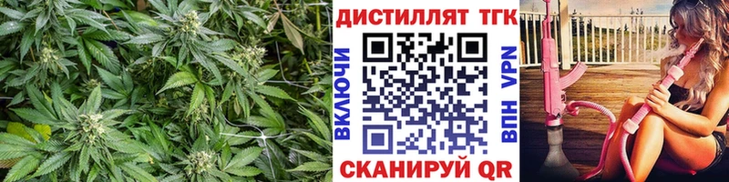 ТГК концентрат Козловка