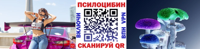 как найти закладки  Козловка  Псилоцибиновые грибы Psilocybe 